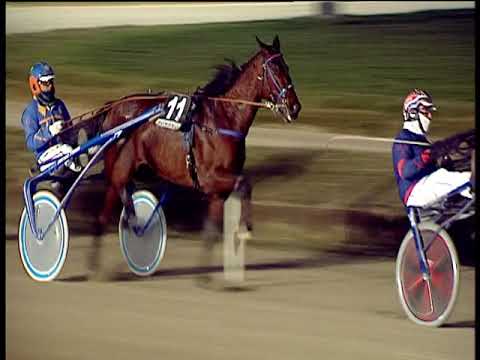 Trotto 30/12/2018 - 5ª corsa