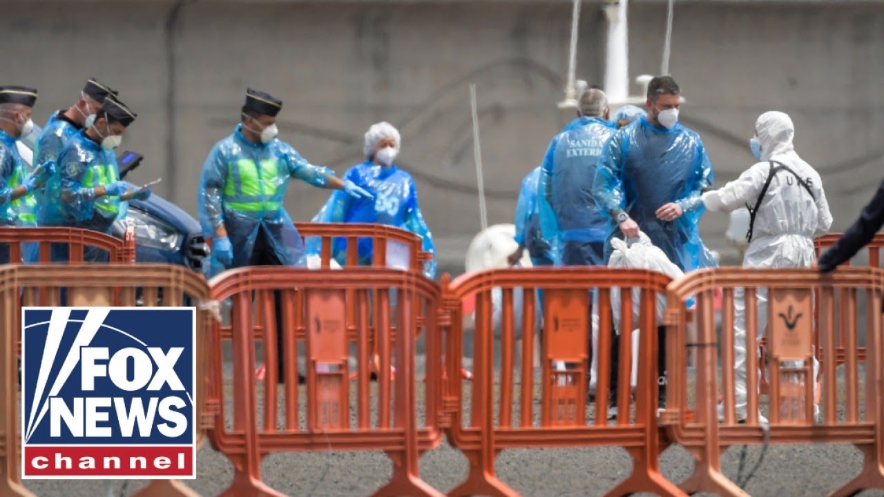 Top WHO official warns of 'high-risk' contacts on hantavirus cruise ship