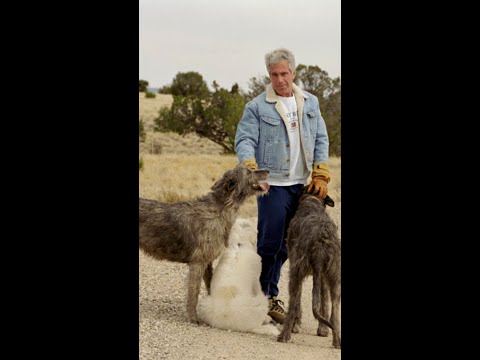 New Mexico sues Epstein attorney and accountant