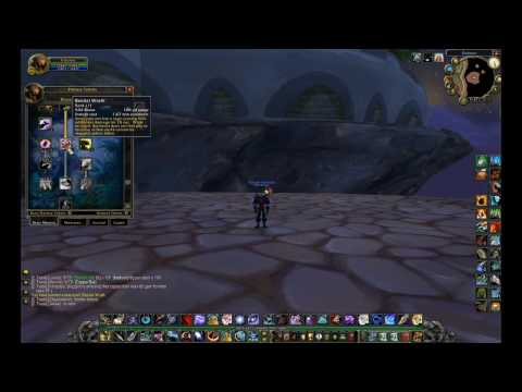 Beast Mastery Hunter DPS Build - World of Warcraft Hunter