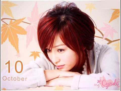 Cyndi Wang ; The Day You Went Away ( lyrics && DL link)