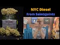 NYC Diesel from SaintsJoints Cannabis Strain Review