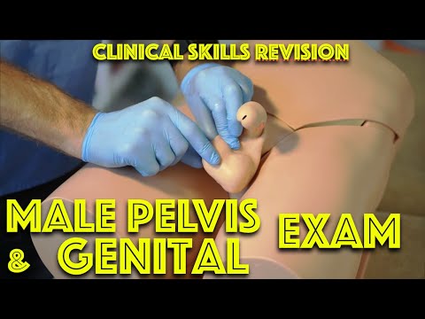 Male Genital Examination - Penis and Testicle Exam - Medical School Clinical Skills Revision
