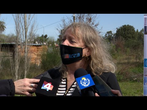 Declaraciones de la presidenta de UTE, Silvia Emaldi, tras regularizaciones en Villa Serena