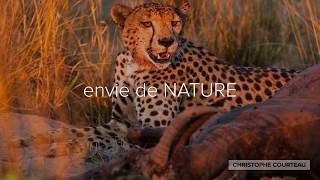 NOUVEAU VOYAGE PHOTO en NAMIBIE du SUD