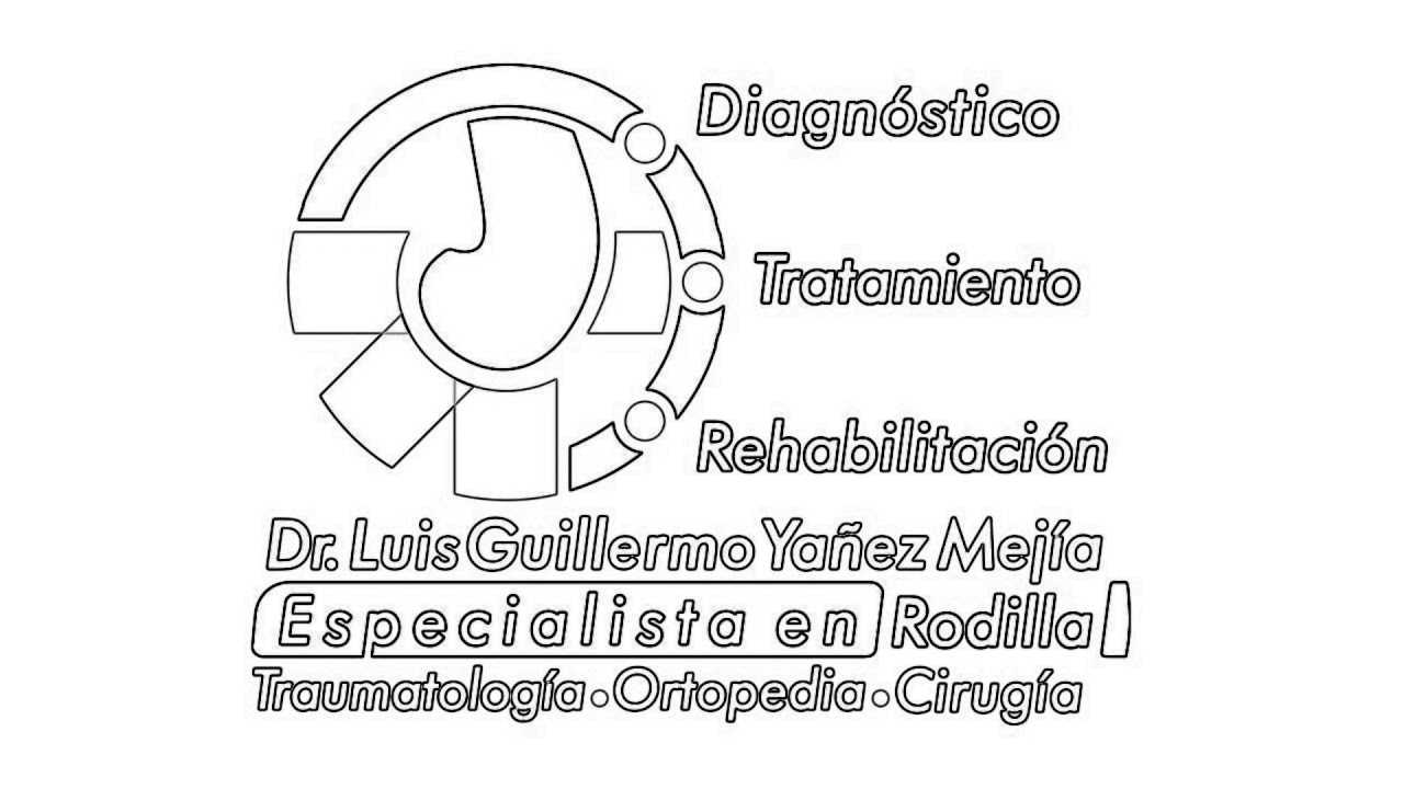 Luis Guillermo Yáñez Mejía-8