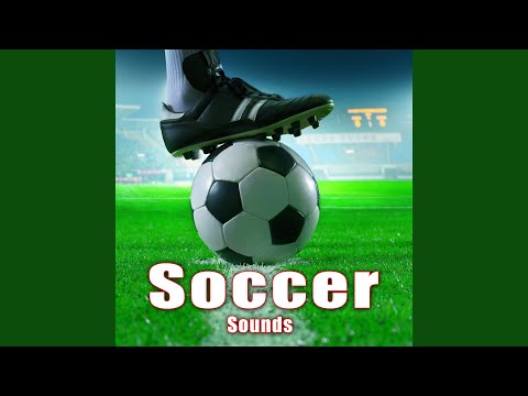 Kicking a Soccer Ball Right into the Net 1