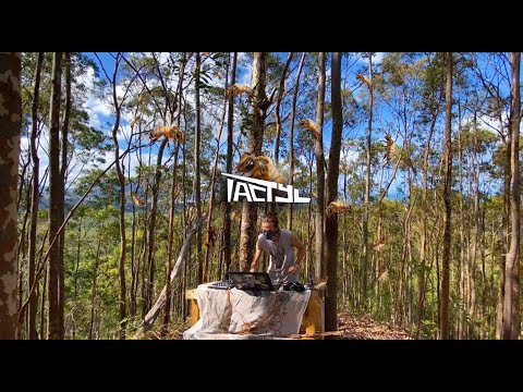 Tactyl - May Be From the Quarantine Live in Newcaledonia