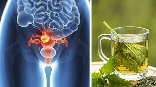 Clean Your Uterus After Period and boost fertility naturally