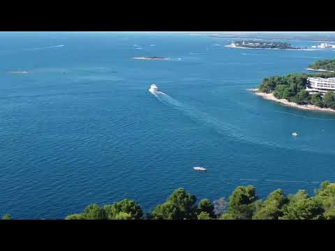 MILAN DOMAJNKO - FLAVTA JE IGRALA