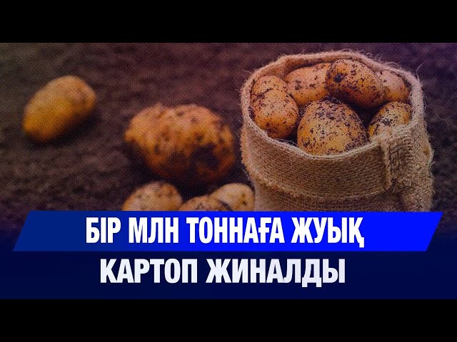 Павлодар агроинновациялар орталығы болуға дайын