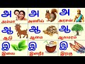 அஆஇஈ உயிர் எழுத்துக்கள் Uyireluthukkal Tamil Alphabets For