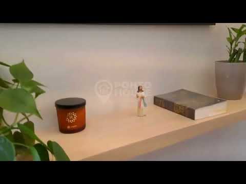 PH51054 - Alameda Dos Tupinas - Planalto Paulista - São Paulo - SP