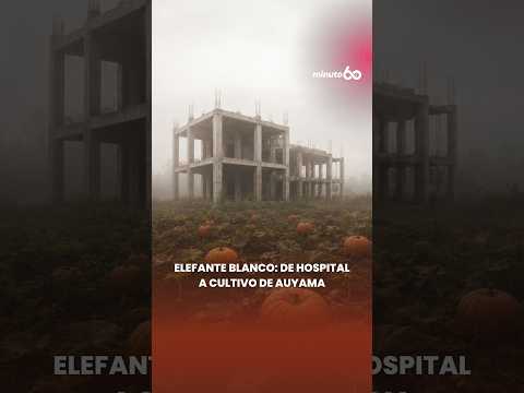 De proyecto de hospital a cultivo de auyama: Un elefante blanco en Casanare | Minuto60