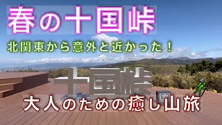 春の十国峠トレッキング！北関東から意外と近かった！富士山・相模湾・駿河湾・桜を満喫！姫の沢公園・サザンカ駐車場からスタート！静岡県田方郡函南町【山と音楽　m♪し音】