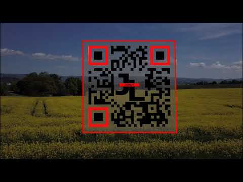 Aprilia Shiver 900 #bearacer