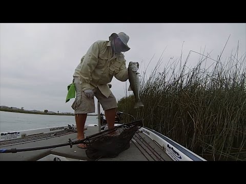 GoPro: Jeff Carpenter - Best Catch 5.29.15 - Fish