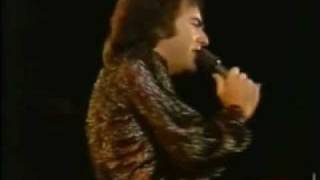 Neil Diamond - Dancing Bumblebee (Live) - subs en español