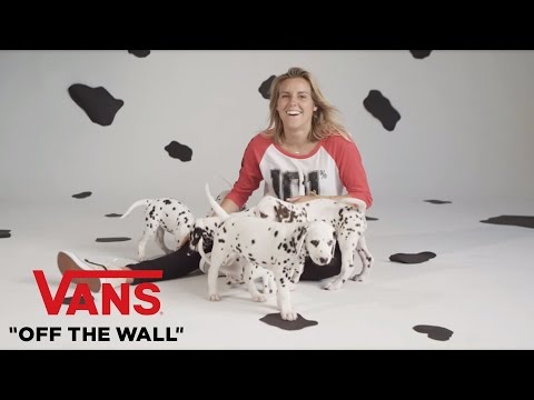 Disney x Vans 101 Dalmatians | Fashion | VANS