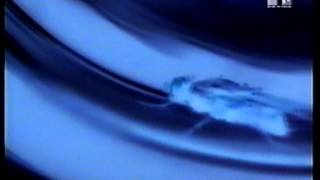 Andrea Parker - Rocking Chair