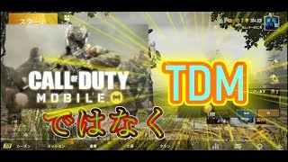 【PUBG mobile】CODやらずにTDMやる男