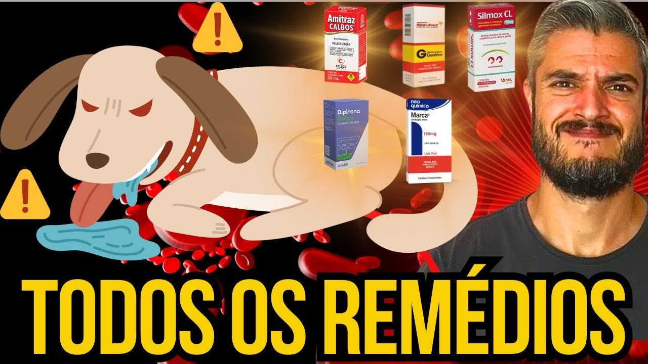 TRATAMENTO DOENÇA DO CARRAPATO EM CÃES COMO CURAR CACHORRO COM ANEMIA APÁTICO PATAS TRAZEIRAS CAIDAS