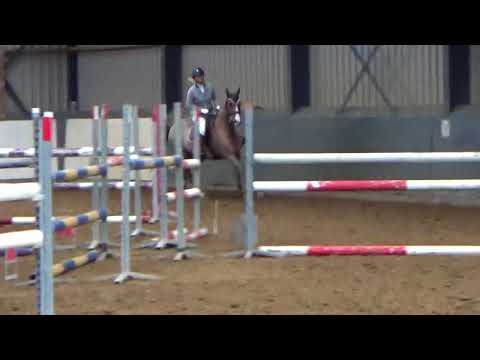 Faye Carthino z X Stakkato clubkampioenschap 1 fase