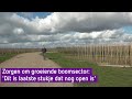 Grote zorgen vanwege flink groeiende boomsector