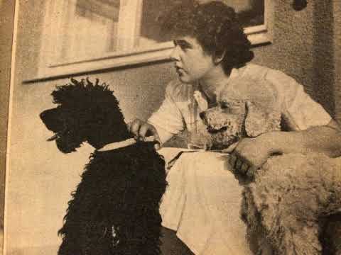 Lucas-Trio, Pudel-Swing, Foxtrot, Deutschland(West), 1953