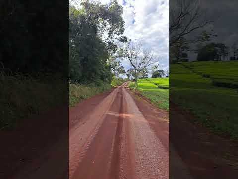 de Oberá  a Gral Alvear - Misiones #bike #naturaleza #misiones  #misionesargentina