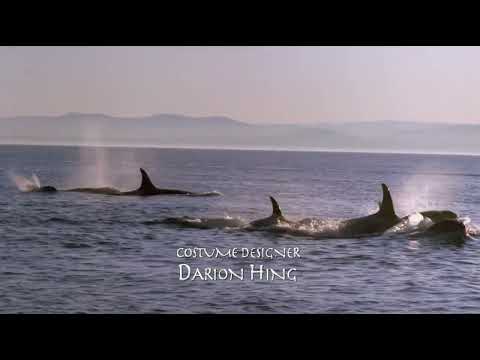 Free Willy: Escape from Pirate's Cove: Part 1