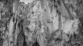 Download lagu COUNTERPAIN 'No Pain No Gain' mp3