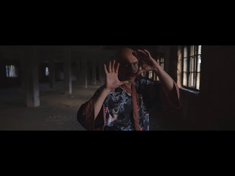 Zoster "Čovjek želi da je ptica"