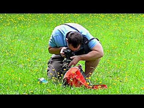 Macro lens PLUS extension tubes - how close can we get?