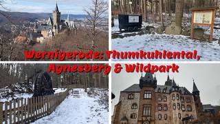 Wernigerode: Thumkuhlental, Agnesberg & Wildpark