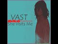 VAST - She visits me [Rüpel Remix 2022]
