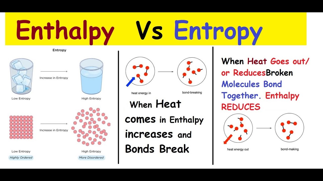 What Is Entropy