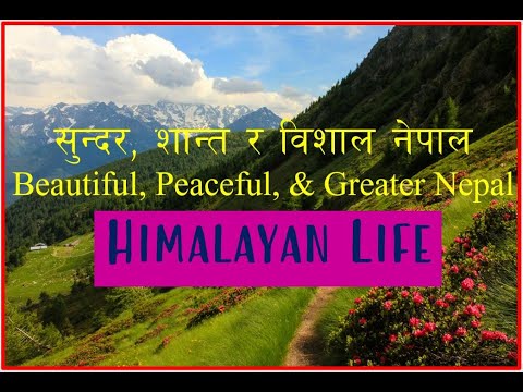 🏡🛶🔥 Himalayan Life || Culture || Rural || Beautiful Nepal || सुन्दर, शान्त र विशाल नेपाल 🏔️🌄🌲🌿🌸🐐🚶‍♂️