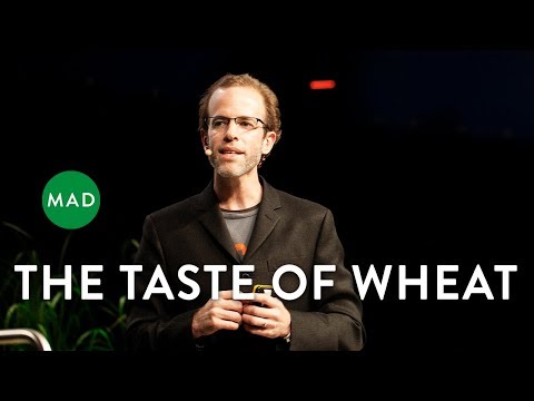The Taste of Wheat | Dan Barber, Chef and Co-Owner of Blue Hill