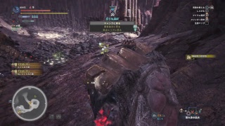 田舎侍のモンスターハンターW　　1回目