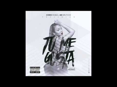 Zorro Rabia Ft  Mr Brutoxx  -Tu Me Gusta.