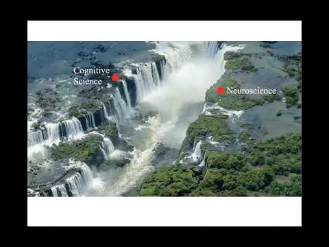 Innovators In Cog Neuro - Dwight Kravitz 4/7/2021