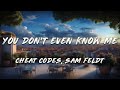 Cheat Codes Sam Feldt You Don T Even Know Me Lyrics