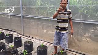 Download lagu CARA MERAKIT FERTIGASI OTOMATIS mp3