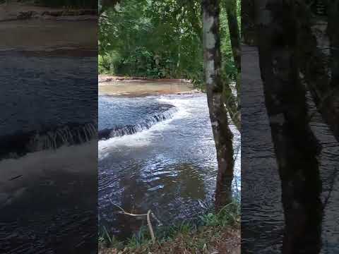 Camping Los Hermanos en Campo Ramón Misiones 🇦🇷❤️🇦🇷