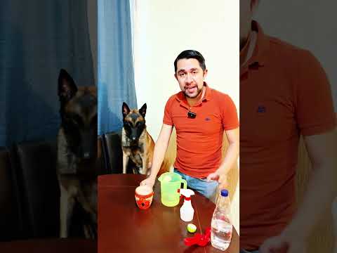 The secret to keeping your house from smelling like a dog 👌🏻💯🐶 #dogs #pets #canecorso #pitbull #m...