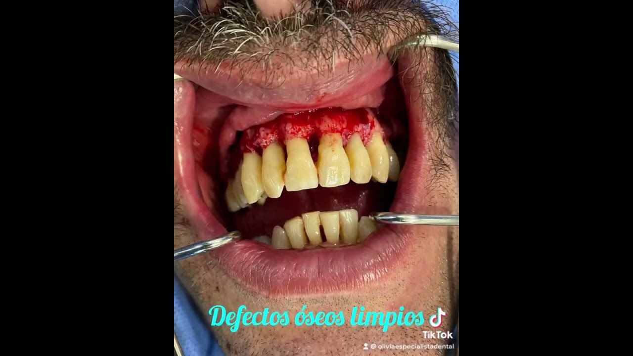 Olivia Ibañez Rojas-12