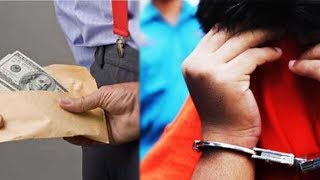 Dua Pejabat Kemenpora Terjerat Kasus Dana Hibah ke KONI