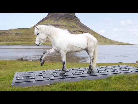 Icelanders Invite People Visiting Their Country To 'Outhorse' Their Emails In Off-The-Wall Tourism Ad