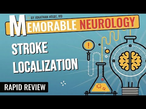 Stroke Localization Made Easy with Mnemonics! (Memorable Neurology Lecture 14)